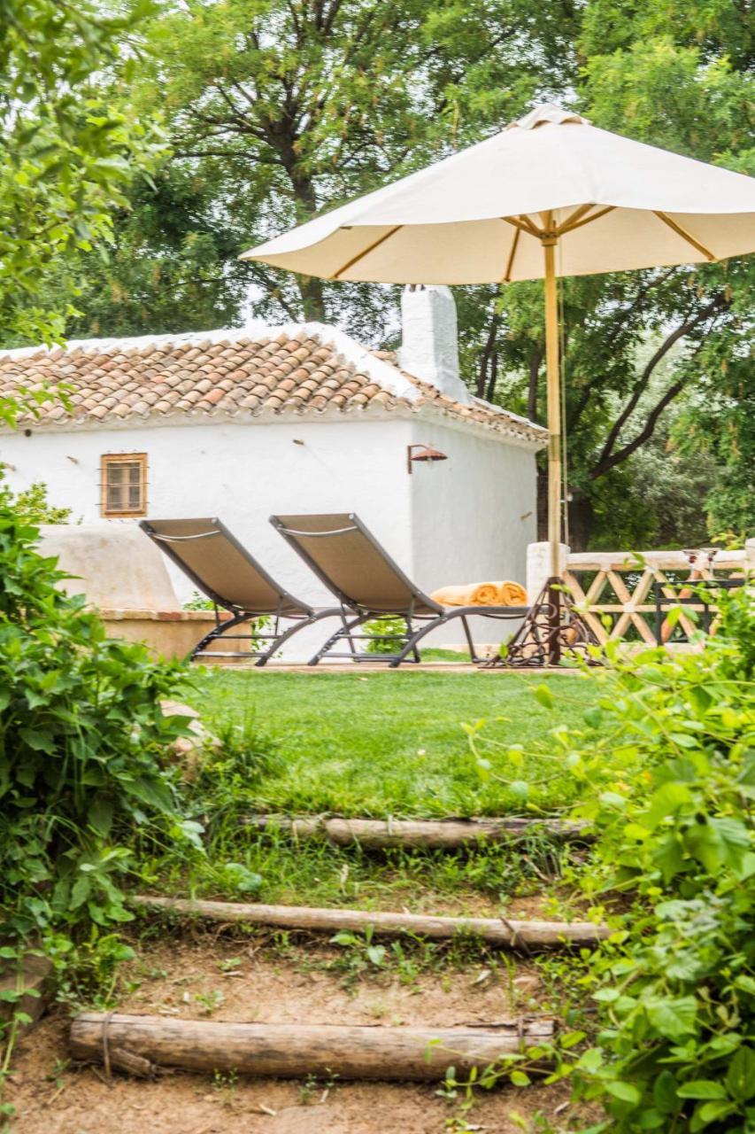 Casa Rural La Alameda Madridejos Exterior foto