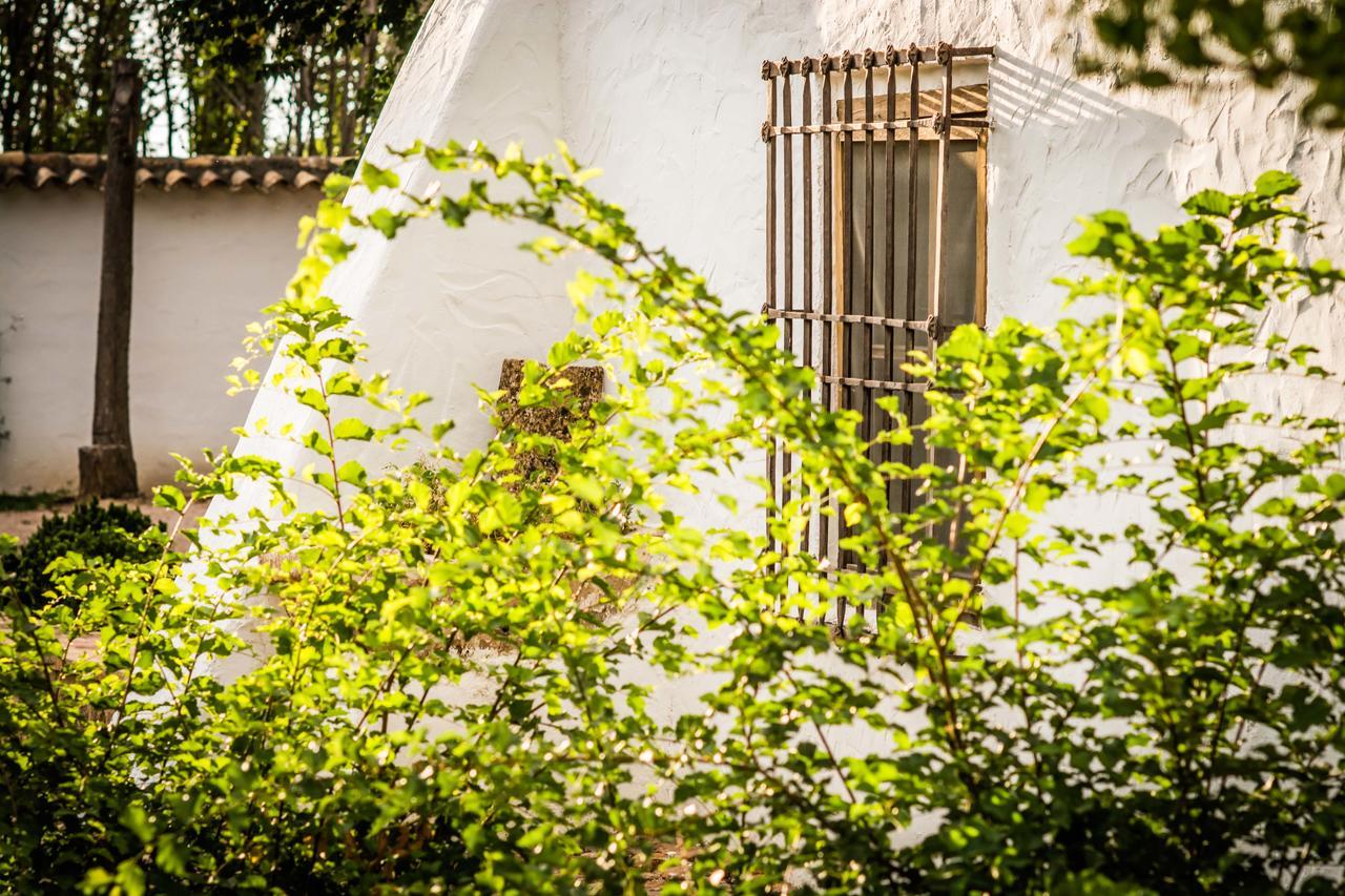 Casa Rural La Alameda Madridejos Exterior foto